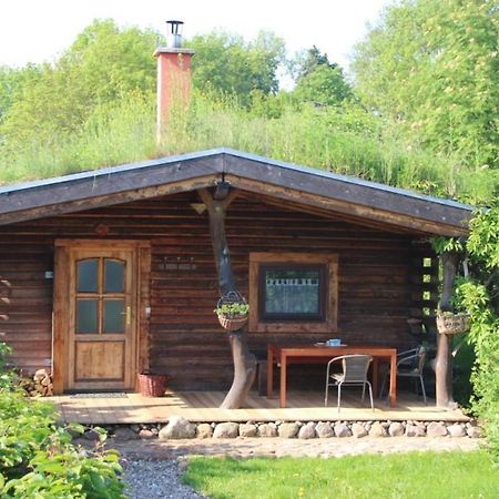 Blockhaus Zahren Villa Penzlin ภายนอก รูปภาพ